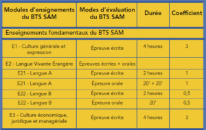 BTS Support à l’Action Managériale bts sam